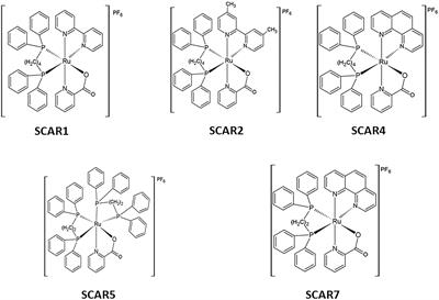 A Nanostructured Lipid System to Improve the Oral Bioavailability of Ruthenium(II) Complexes for the Treatment of Infections Caused by Mycobacterium tuberculosis